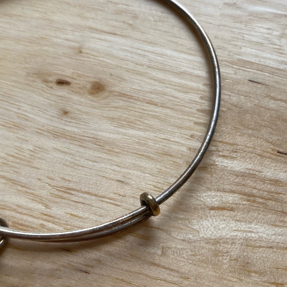 Alex and Ani - silver - Conch Shell - Picture 3 of 3